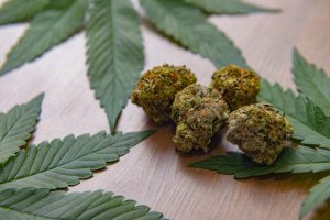 how to get weed or cannabis in Vilnius, Lithuania. Where to get marijuana in Vilnius, Lithuania in 2025. Finding or Buying Cannabis in Lithuania