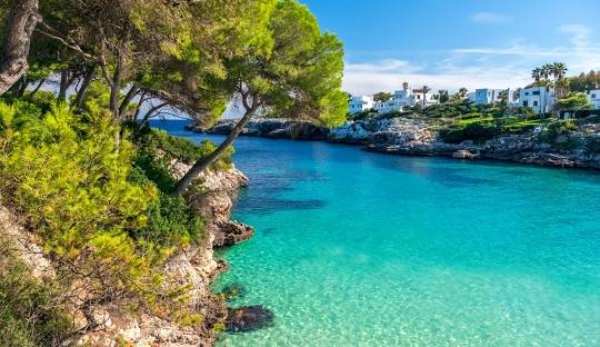 Where to Obtain Weed in Majorca (mallorca)